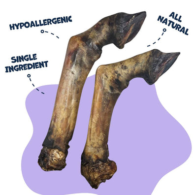 Dehydrated Horse Leg - All Natural Treats for Dogs (Sold by piece)
